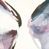 Bivalve, 2011