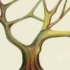 Tree Sketch