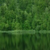Shades of green
