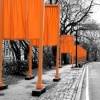 The gates