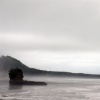Morning mist