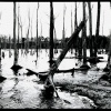 Resevoir #2