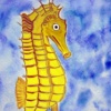 Seahorse sketch