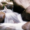Nature/Landscapes