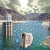 Digital Composite