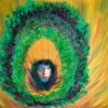 Eye of the Peacock #2