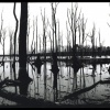 Resevoir #1