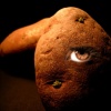 Eye of the potato
