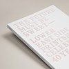 The Future Must Be Sweet: Lower East Side Celebrates 40 years by Marilyn Kushner