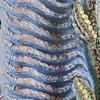 MANTRA II, For Sri Lanka (front detail)