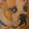 TimDog2