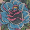 Rose1