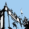 temple black and blue