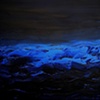 The Night's Ocean
