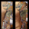 Phoenix Arm 1