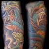 Phoenix Arm 2