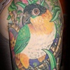 birdie