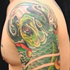 greenkoi