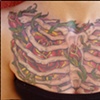 Chest Plate