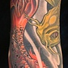 Gold Koi