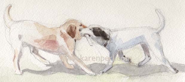 Dog Park Dogs,
Tug of War