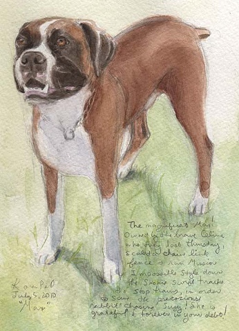 "The Magnificent Max"