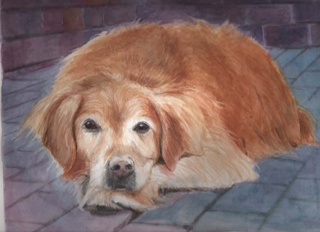 "Gracie"