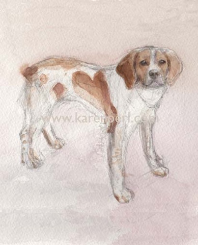 Dog Park Dogs,
Brittany Spaniel