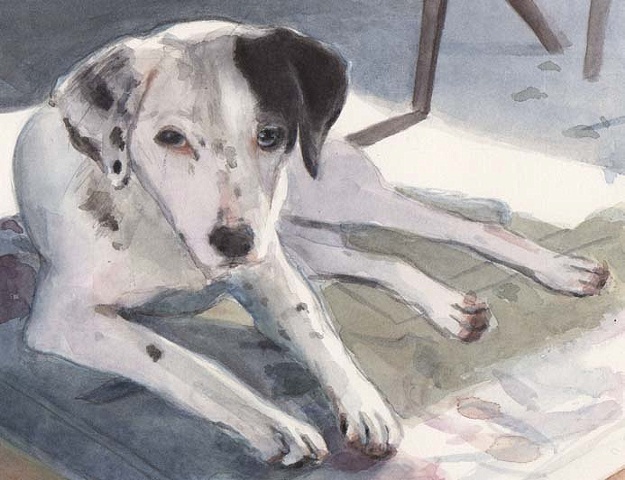 "Suzy"