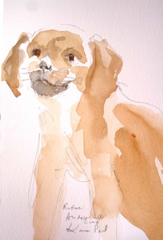 "Puggle at the Art Fair"