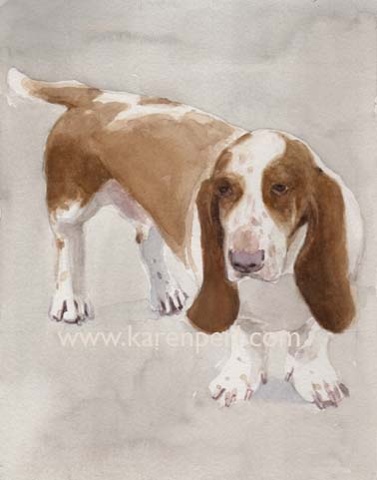 Dog Park Dogs,
Basset Hound