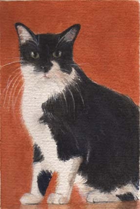"Moxie"