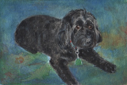 "Little Black Dog"