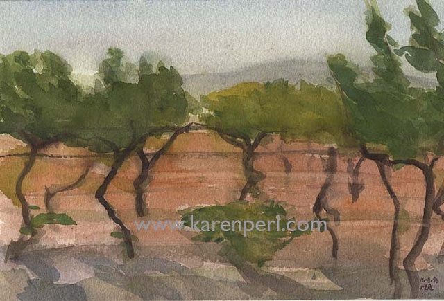 South of France,
Les Vignes