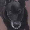Seamus