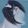"Oisen"