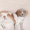 Dog Park Dogs,
Brittany Spaniel