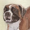 "The Magnificent Max"