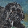 "Little Black Dog"