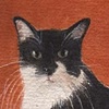 "Moxie"