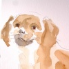 "Puggle at the Art Fair"