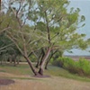 Sea Island, Georgia