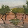 South of France,
Les Vignes
