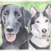 "Belle & Dixie"