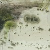 Sensory II