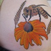 Bee-Black Eyed Susan