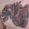 Skulls-Heart Shading