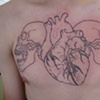 Skulls-Heart Outline