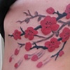 Cherry Blossom Branch