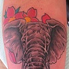 Elephant-Cherry Blossums